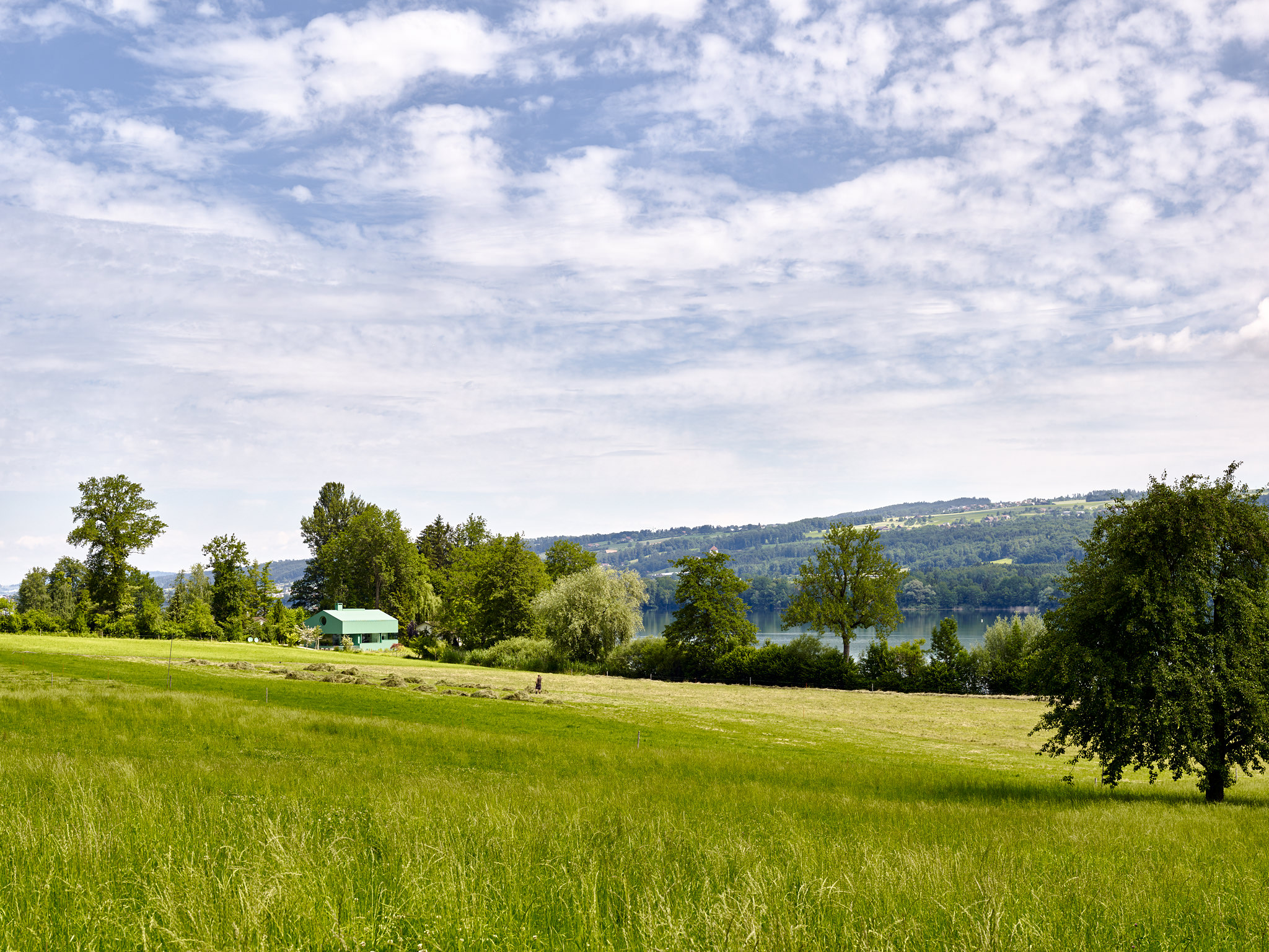 E15543 Alpa 051874 SCREEN